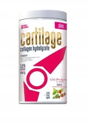 CARTILAGE PLUS COLLAGEN STAWY KOŚCI WIĘZADŁA POZIOMKA MIĘTA PROSZEK 500g